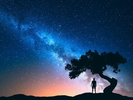 Sleep Sanctuary: Stress And Anxiety Relief Music