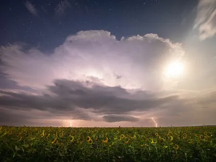 Sleep Self-Compassion: Kindness In Rest