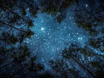 Sleep Serenity – Binaural Relaxation