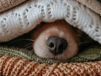 Sleep Series 1 - Beach Oasis