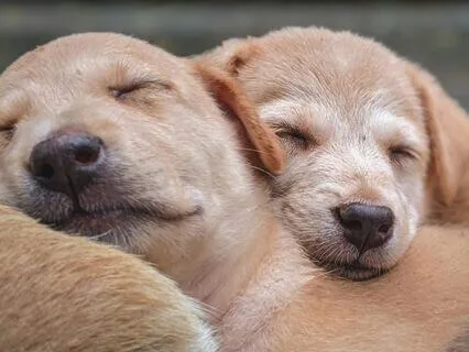 Sleep Series 5 - Grounding Into Sleep