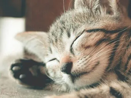 Sleep Series: Ease Into Sleep After A Rough Day