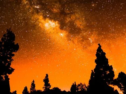 Fall Asleep In Alignment