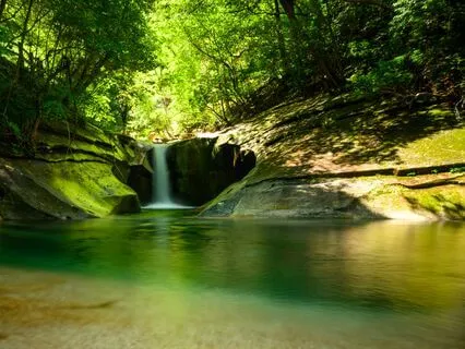 The Sleep Well Sessions: The Sunlit Stream