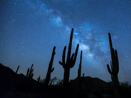 Sleep Soundly: Spherical Soundscape For Falling Asleep