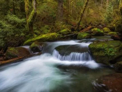 Sleep Sounds Of Nature: Mountain Stream, Oregon