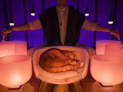 Sleep Sounds Sound Bath