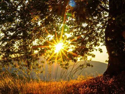 Sleep Spirit Of The Night Healing Flute And Night Sounds