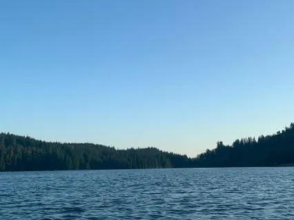 Sleep Stories: Cedar Grove At Blue Hour For Deep Sleep