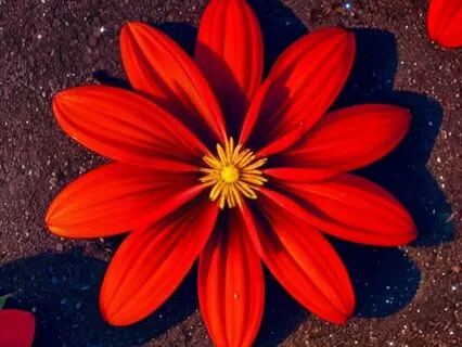 A Korean Tale (With A Smooth And Sweet Voice)