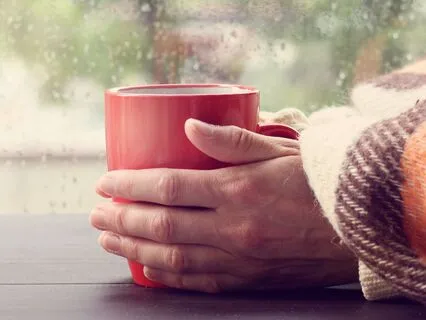 Sleep Story: A Quiet Rainy Day