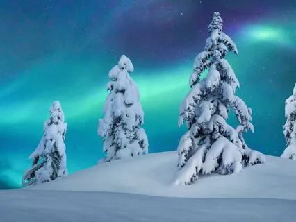 Sleep Story | Frozen Dreams