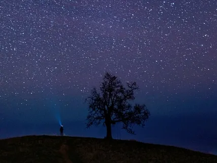 Sleep Story: Guided Meditation -The Giving Tree