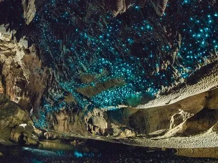 Sleep Story | A Shield-Maiden’s Journey