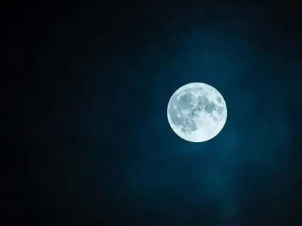 Bedtime Stories With JuneB - Market Walk