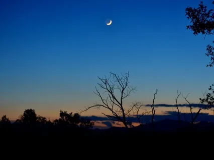 Sleep Story-Nature Walk