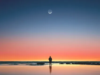 Day 2: Dreamy Sleep Story - The Firefly's Whisper