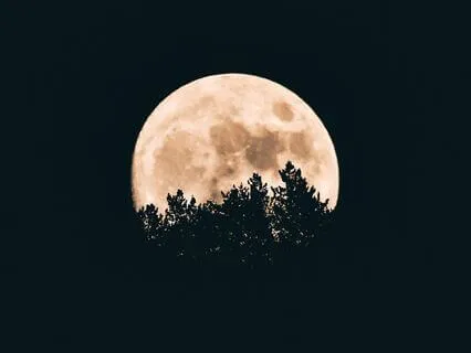 Day 4: Dreamy Sleep Story - The Boy Who Fished For Dreams