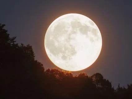 Sleep Story & Soft Affirmations | Deep Rest | Sleep (15 Min)