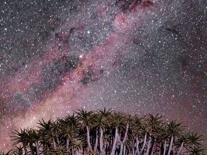 Sleep Story: Starry Skies