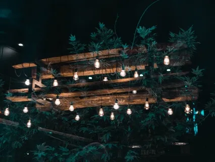 Sleep Story-The Coffee Shop