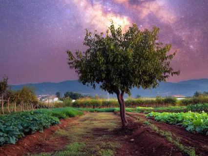 Sleep Story The Garden That Grew Something Else, Extended