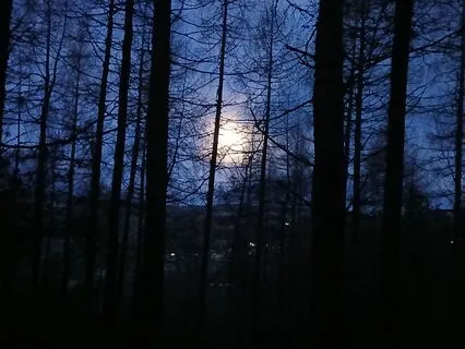 Sleep Story - The Haven Of Healing (With Music)