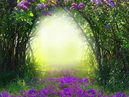 Sleep Story: The Hidden Garden At The Edge Of The World