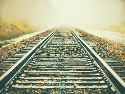 Sleep Story: The Railway Children 10 | Read By S D Hudson