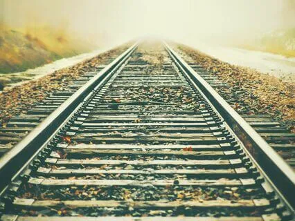 Sleep Story: The Railway Children 7 | Read By S D Hudson