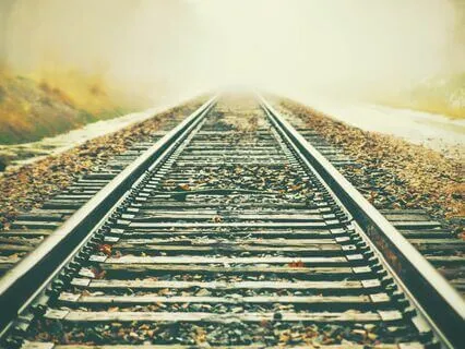 Sleep Story: The Railway Children 8 | Read By S D Hudson