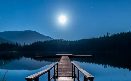 Sleep Story: The Secret Garden Ch 26