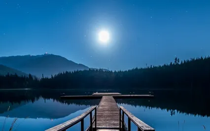 Sleep Story: The Secret Garden Ch 27 In The Garden