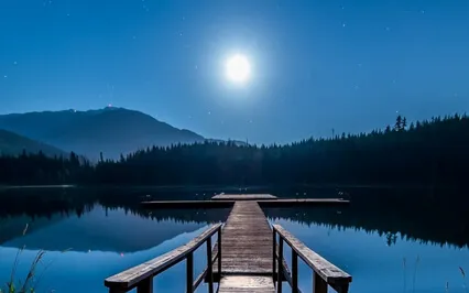 Sleep Story: The Secret Garden Chapter 12