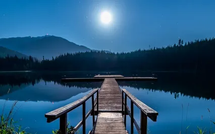 Sleep Story: The Secret Garden Chapter 14