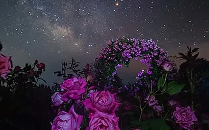 Sleep Story: The Secret Garden Chapter 9