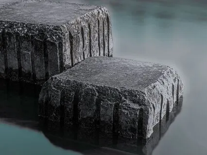 The Story Of Doctor Dolittle - Chapters 4-6