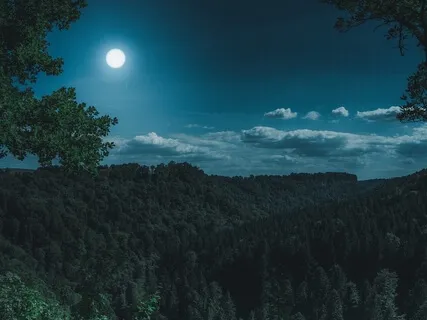 Sleep Story: The Tortoise And The Hare