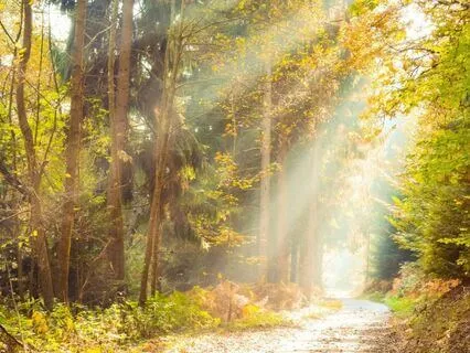 Sleep Story: The Wind And The Sun