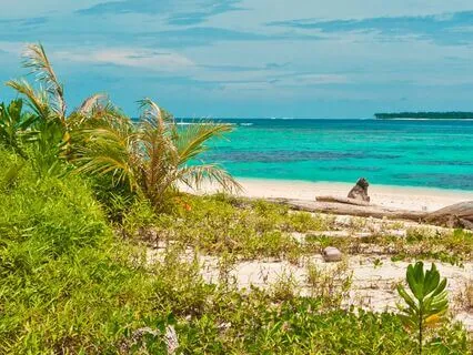 Sleep Story: Whispers Of The Island