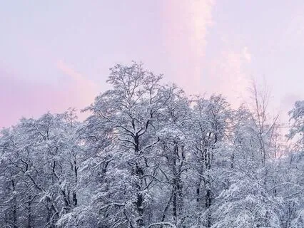 Sleep Support For Sensitive Nervous Systems