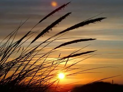 Sleep Support & Gentle Rest (432 Hz)