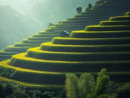 Sleep: Surrender To Rest: Embracing Deep Sleep