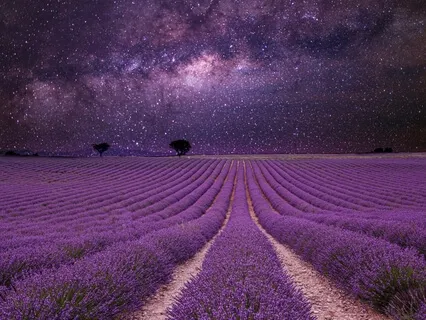 Sleep Sweetly With Light & Gratitude 