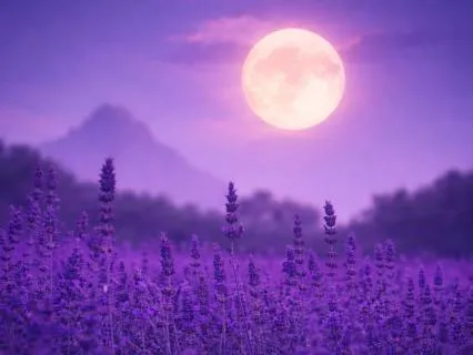 Sleep Talk Down (8 Hours)