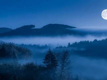 Sleep Talk Down, Fall Asleep Fast Into A Deep Dream State