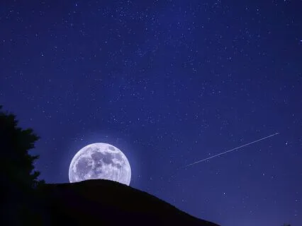 Sleep Talk Down: Instant Deep Sleep