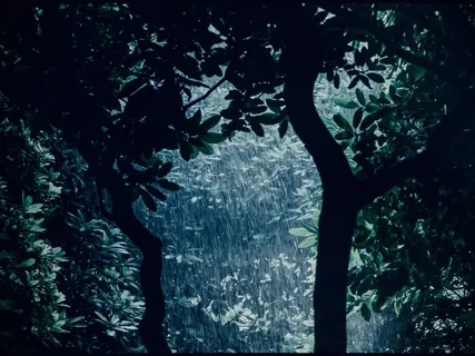 Sleep Talk Down Into Rain (11-Minute Talk-Down | 1 Hr Rain)