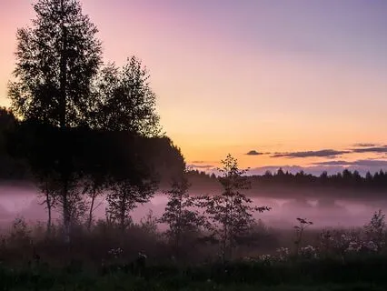 Sleep Talk Down Meditation For Falling Asleep Fast