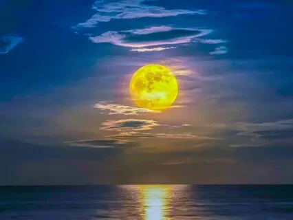 Sleep Talk Down, Reset Mind, Body, Spirit